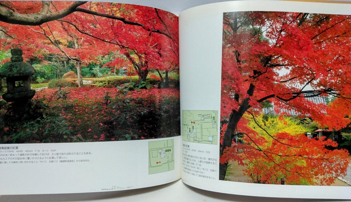 絶版◆◆京都 嵯峨野 カメラを持って京都へ行こう 山本健三◆◆梅宮大社 嵐山 広沢池 竹林 化野念仏寺 渡月橋 高雄 清滝川☆紅葉 雪景色 桜_画像5