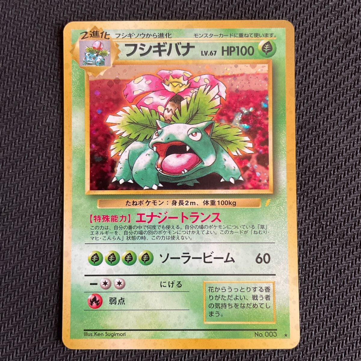 ポケモンカード 旧裏 旧裏面 キラ とりかえっこプリーズ ポケモンカード 旧裏 旧裏面 キラ とりかえっこプリーズ