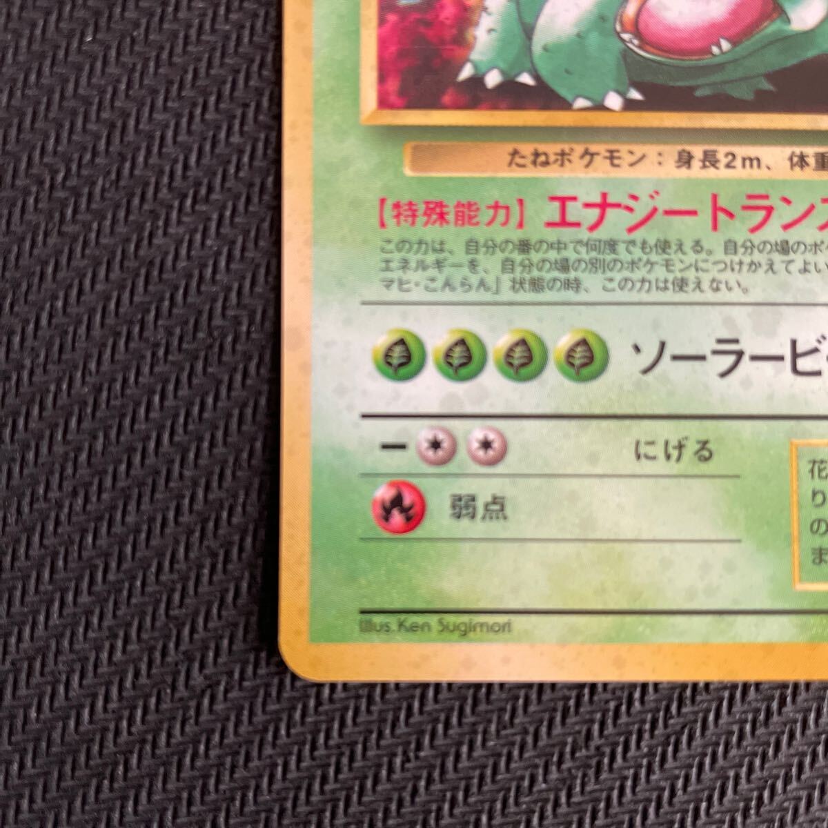 ポケモンカード 旧裏 旧裏面 キラ とりかえっこプリーズ ポケモンカード 旧裏 旧裏面 キラ とりかえっこプリーズ
