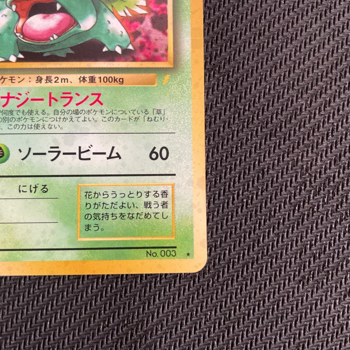 ポケモンカード 旧裏 旧裏面 キラ とりかえっこプリーズ ポケモンカード 旧裏 旧裏面 キラ とりかえっこプリーズ