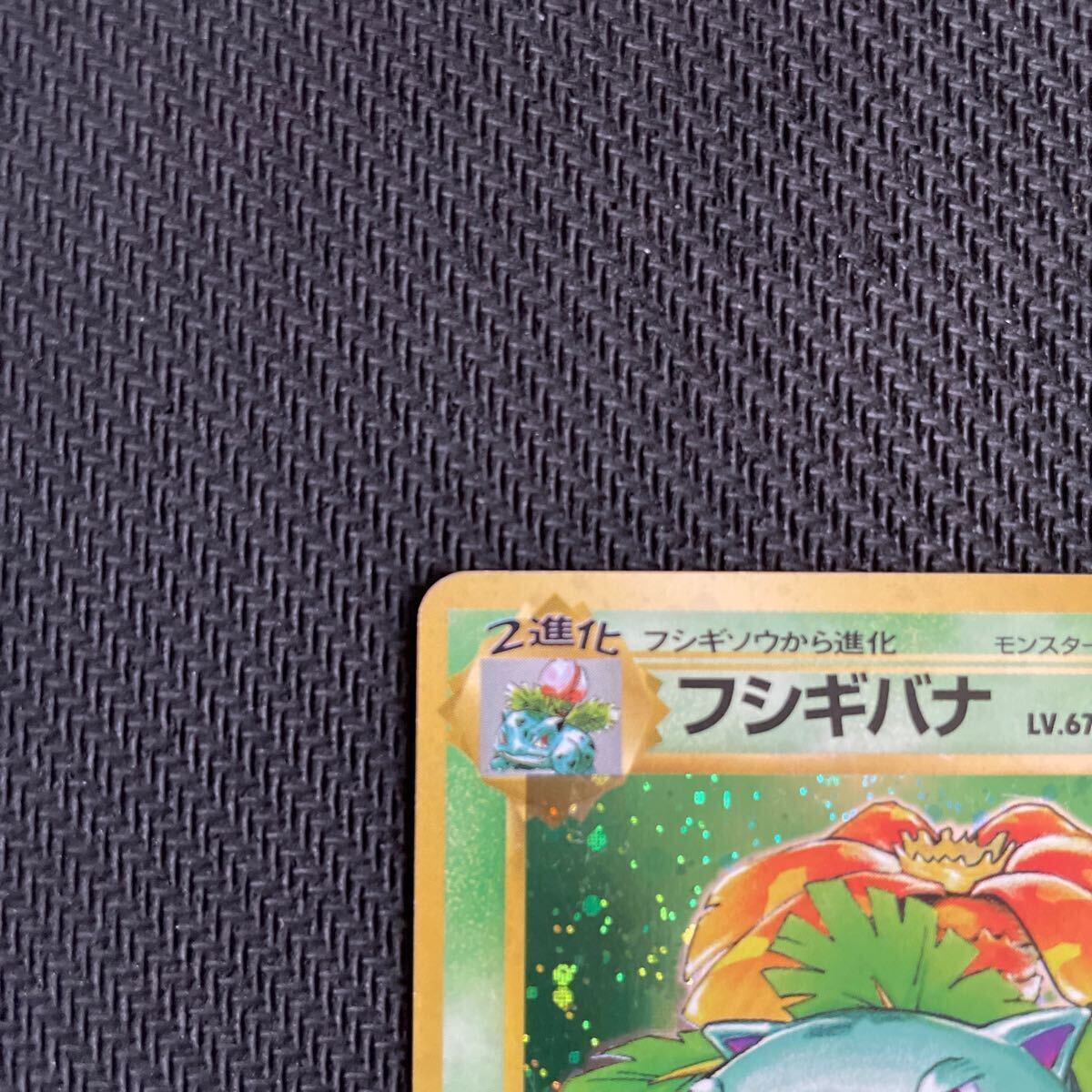 ポケモンカード 旧裏 旧裏面 キラ フシギバナ マークなし 初版 ポケモンカード 旧裏 旧裏面 キラ フシギバナ マークなし 初版