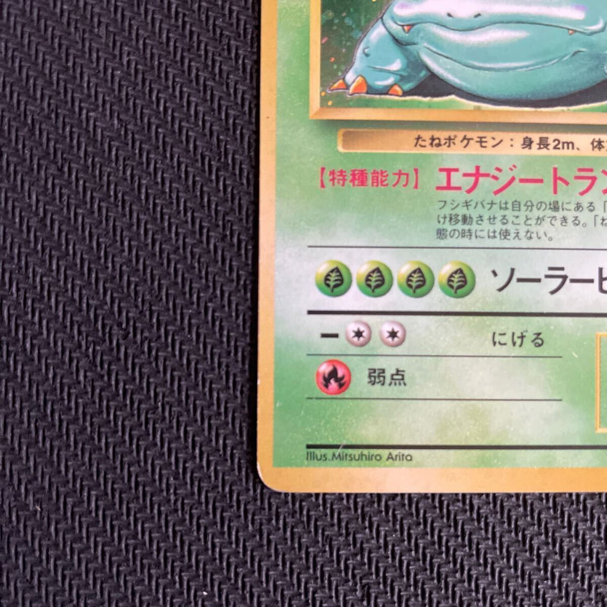 ポケモンカード 旧裏 旧裏面 キラ フシギバナ マークなし 初版 ポケモンカード 旧裏 旧裏面 キラ フシギバナ マークなし 初版