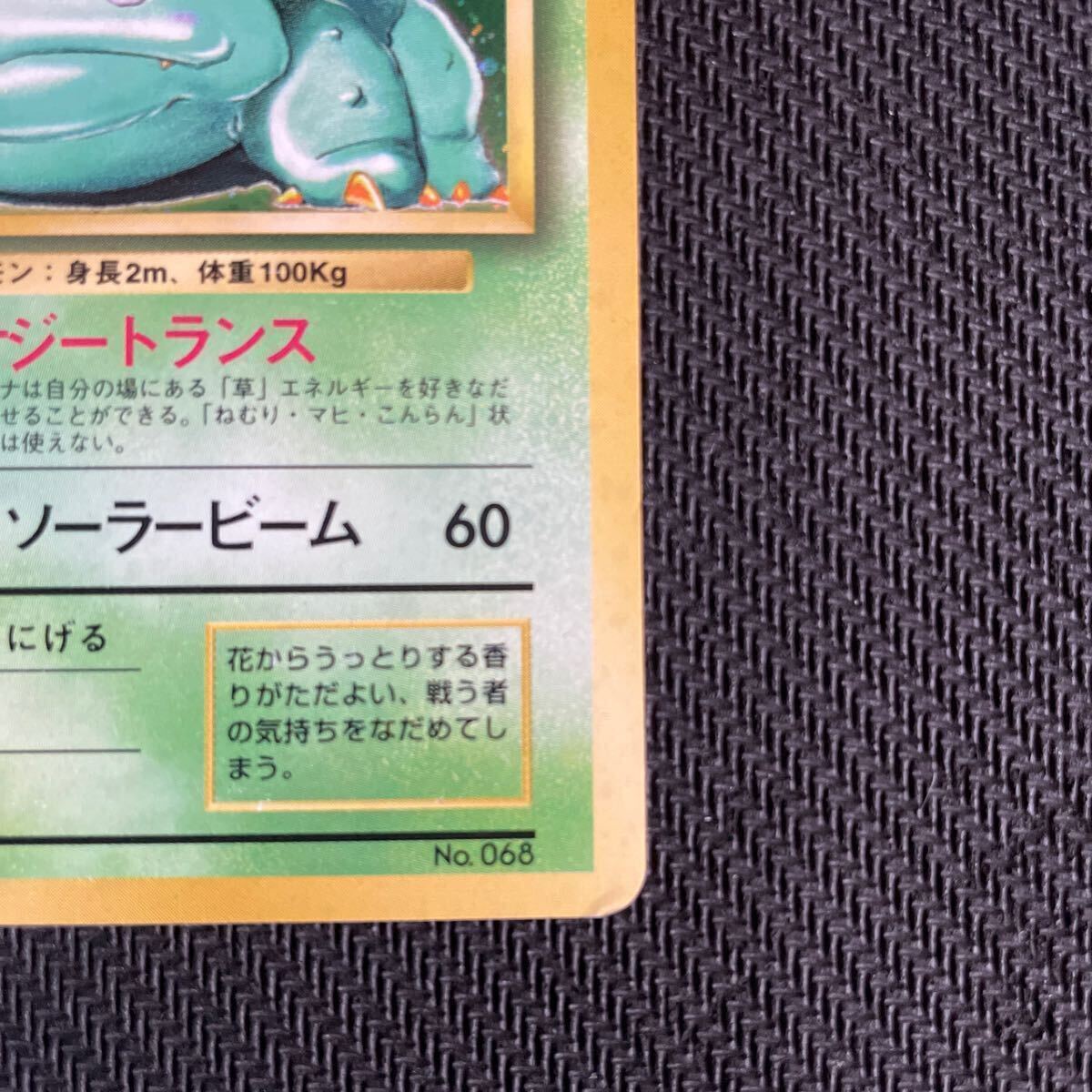 ポケモンカード 旧裏 旧裏面 キラ フシギバナ マークなし 初版 ポケモンカード 旧裏 旧裏面 キラ フシギバナ マークなし 初版