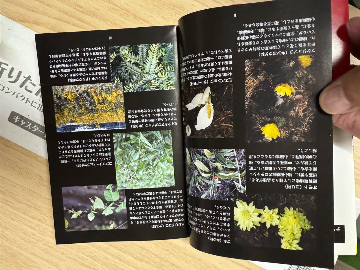 item_image_6