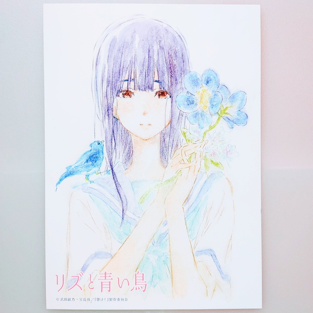 正規品】リズと青い鳥 第3週目 入場者特典 鎧塚みぞれ 傘木希美 正規品】リズと青い鳥 第3週目 入場者特典 鎧塚みぞれ 傘木希美