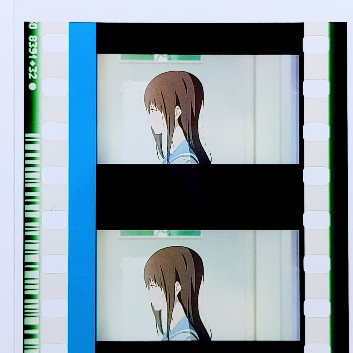 正規品】リズと青い鳥 入場特典 フィルム コマフィルム 鎧塚 正規品】リズと青い鳥 入場特典 フィルム コマフィルム 鎧塚