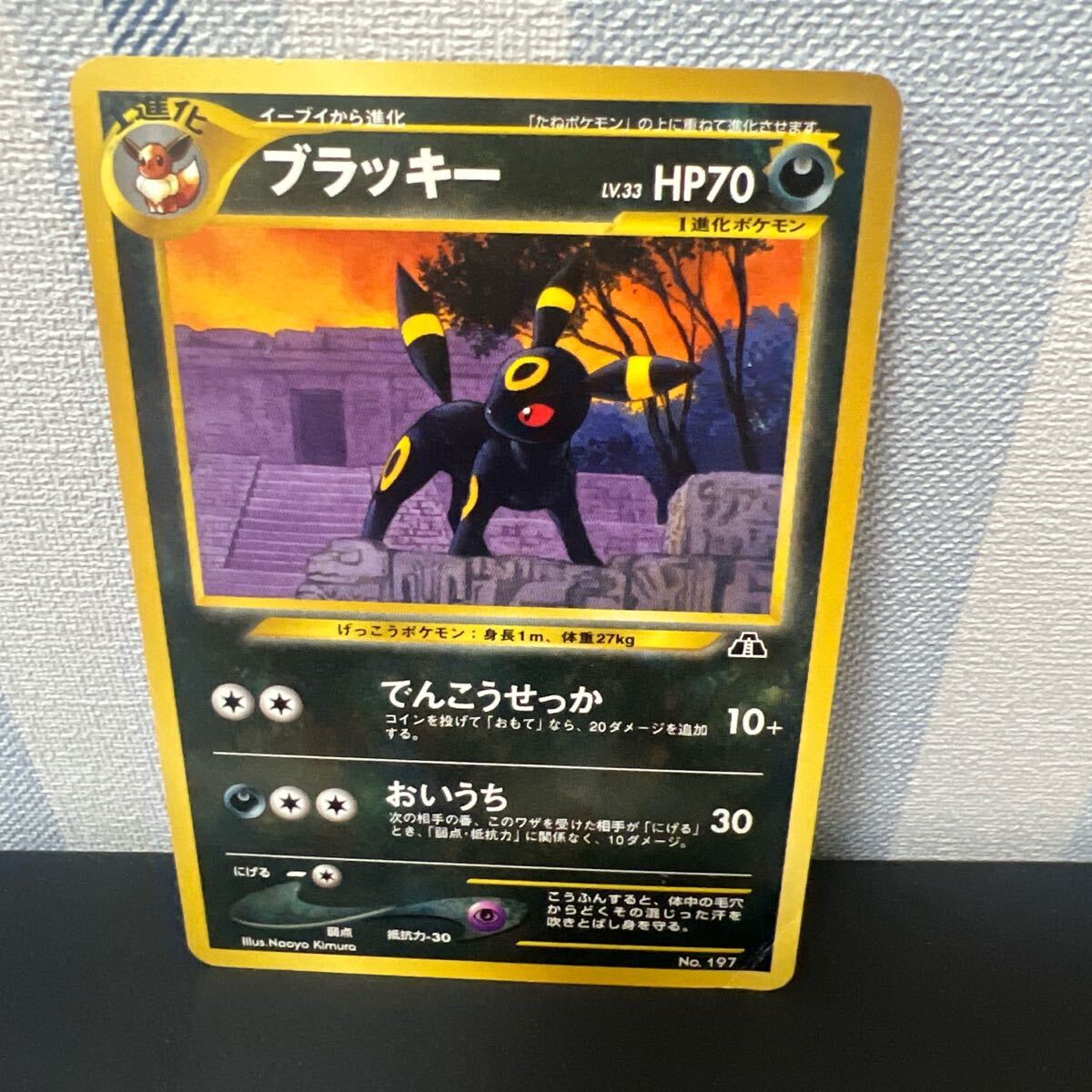 ポケモンカード[希少 レア ブラッキー プレミアムファイル2 ポケモンカード[希少 レア ブラッキー プレミアムファイル2
