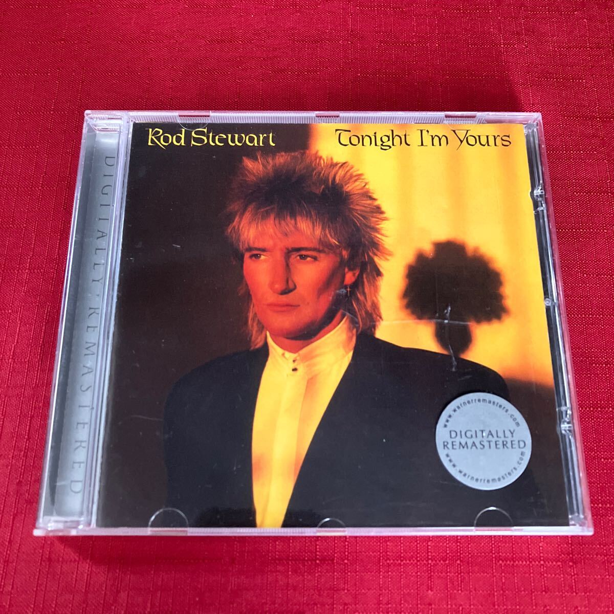WY12【盤面】ROD STEWART TONIGHT IM YOURS CD_画像1