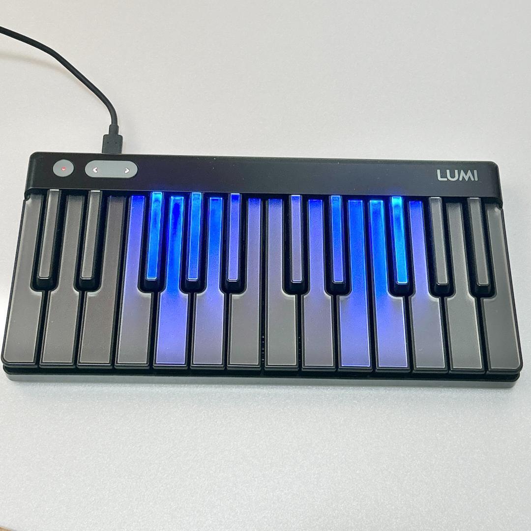 Yahoo!オークション - 【日本未発売】希少 ROLI LUMI キーボード Yahoo!オークション - 【日本未発売】希少 ROLI LUMI キーボード