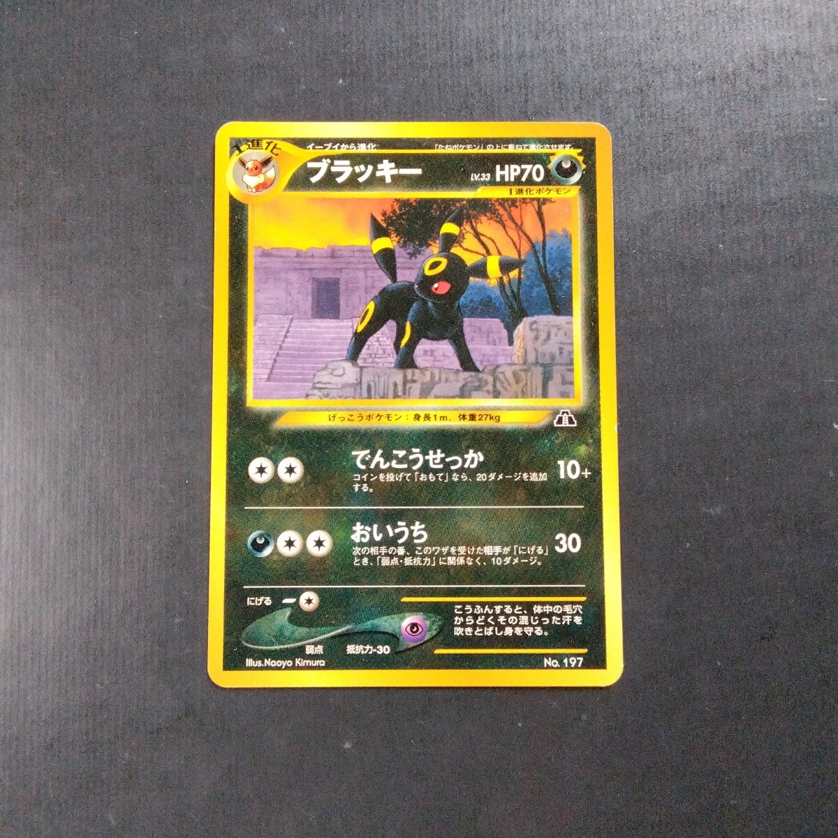 ポケモンカード旧裏 ブラッキー(シングルカード)|売買された ポケモンカード旧裏 ブラッキー(シングルカード)|売買された
