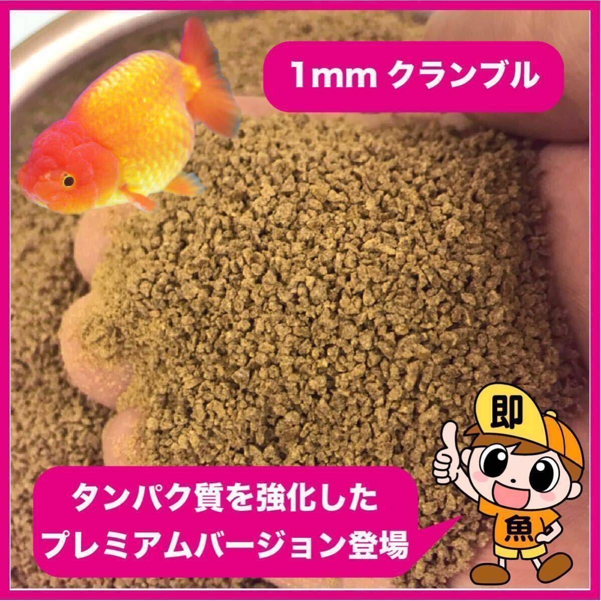 『プレミアムらんちゅうクランブル』1㎜ 1kg入り タンパク質(zhì)強化バージョン らんちゅうに最適な餌 沈下性 送料無料