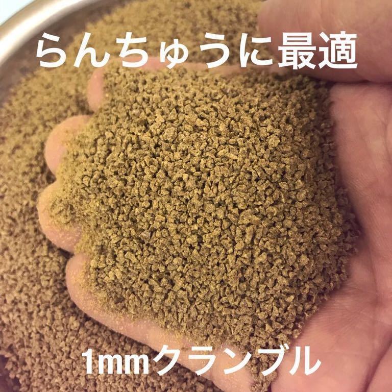 送料無料 和金 琉金 グッピー ベタ コリドラス ディスカスに最適な餌 1㎜クランブル餌 800g入り 嗜好性の高いサナギミール配合