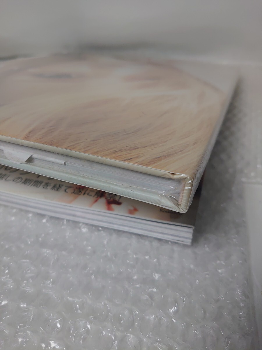 新品 書籍 写真集 未開封 シュリンク有 ayumi hamasaki 浜崎 新品 書籍 写真集 未開封 シュリンク有 ayumi hamasaki 浜崎