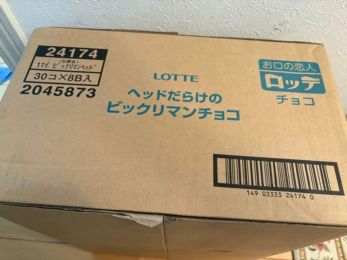 1カートン8箱(240個) セット ロッテ ヘッドだらけの 1カートン8箱(240個) セット ロッテ ヘッドだらけの