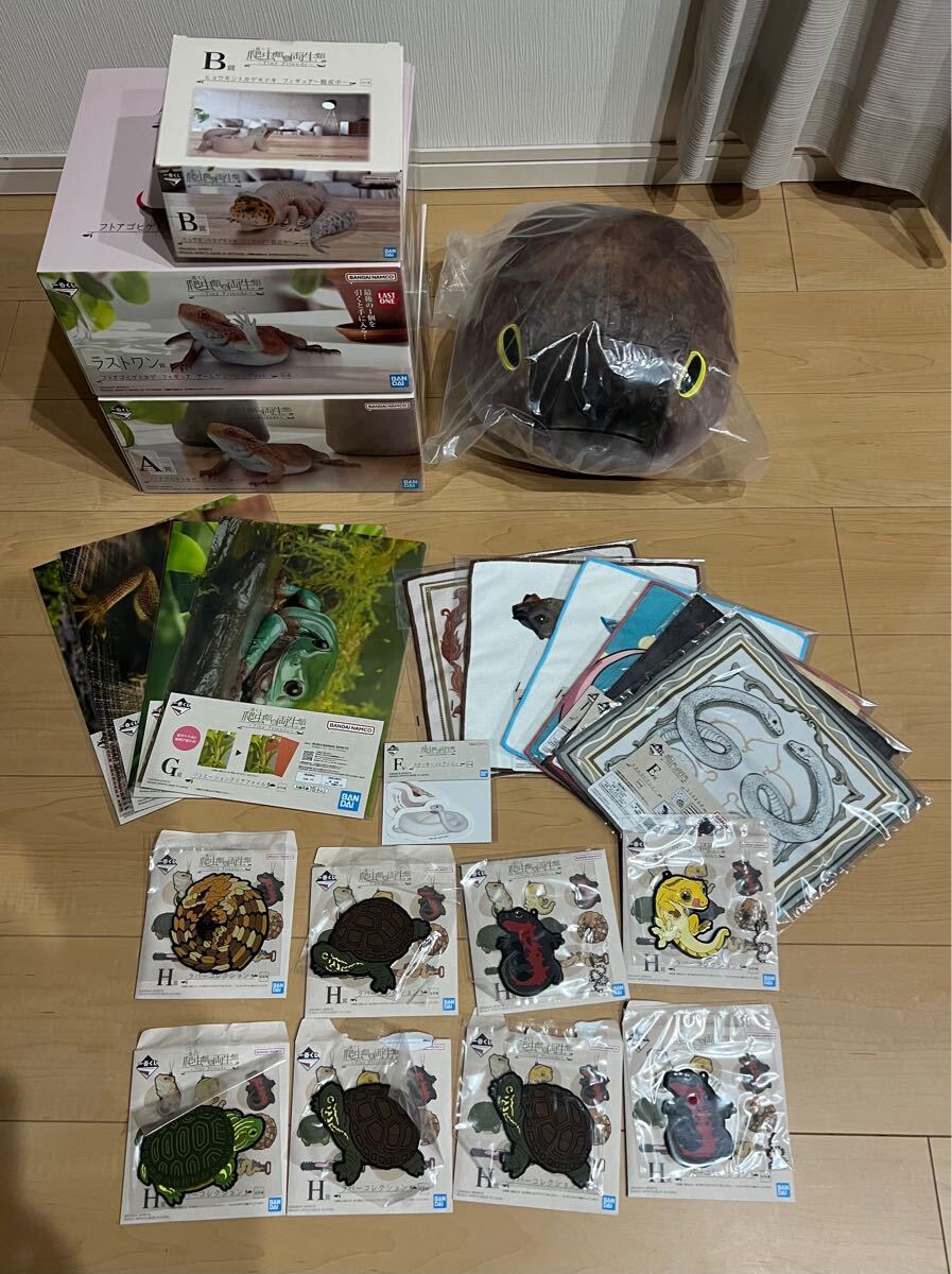 一番くじ 爬虫類&両生類 ~Tiny Friends A賞 B賞 C賞 下位賞 一番くじ 爬虫類&両生類 ~Tiny Friends A賞 B賞 C賞 下位賞