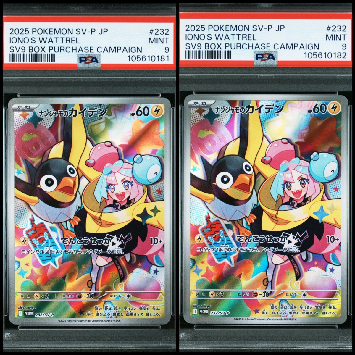 ポケモン PSA9 ナンジャモのカイデン SV-P プロモ 連番(シングル ポケモン PSA9 ナンジャモのカイデン SV-P プロモ 連番(シングル