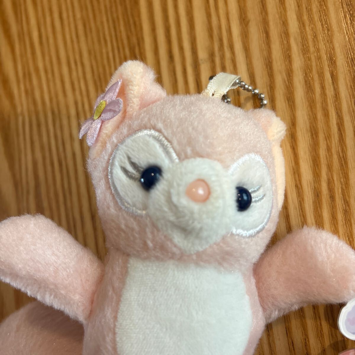 ぬいぐるみ　キーホルダー　 マスコット　ピンバッジ ディズニー_画像3