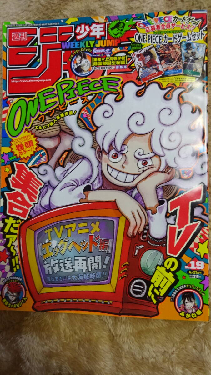 Vジャンプ10月特大号 応募者全員 大サービス！！ ワンピース