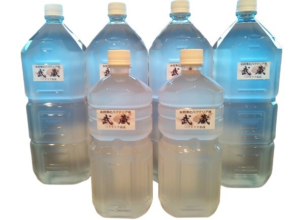 【バクテリア本舗】PSB強(qiáng)化型「武蔵」（10L）水質(zhì)浄化復(fù)合バクテリア液 ～らんちゅう,金魚,めだか,アロワナ,シュリンプ,熱帯魚,海水魚～
