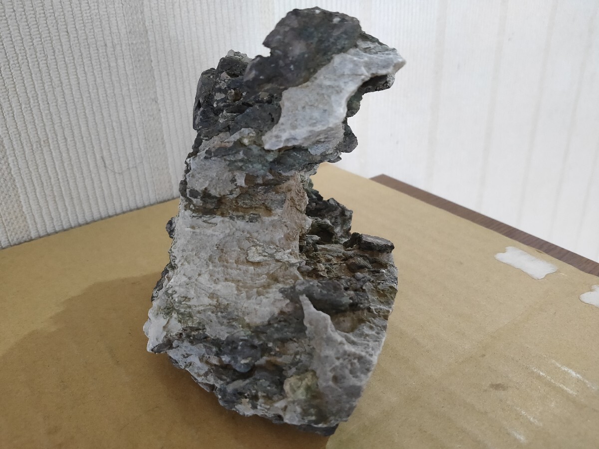 揖斐川龍眼石 水石 盆石 石付き盆栽 水槽水石(鉢)|売買された 揖斐川龍眼石 水石 盆石 石付き盆栽 水槽水石(鉢)|売買された