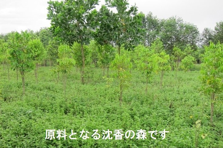 item_image_5