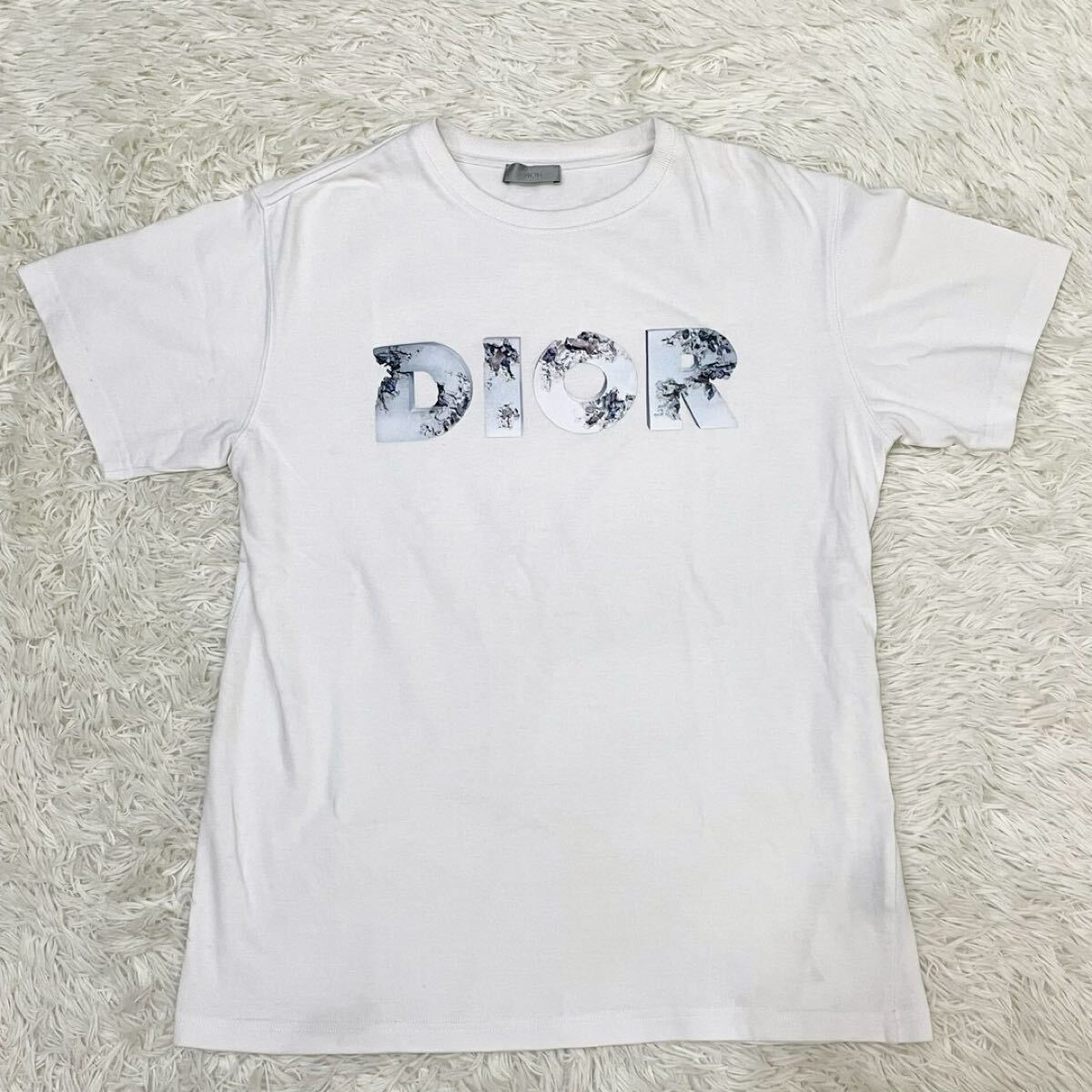 DIOR HOMME 【美品】ダニエルアーシャム ロゴプリント Tシャツ M DIOR HOMME 【美品】ダニエルアーシャム ロゴプリント Tシャツ M