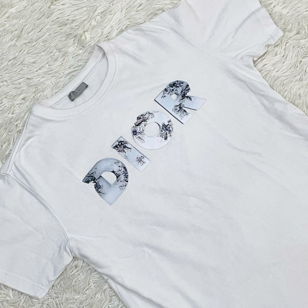 DIOR HOMME 【美品】ダニエルアーシャム ロゴプリント Tシャツ M DIOR HOMME 【美品】ダニエルアーシャム ロゴプリント Tシャツ M