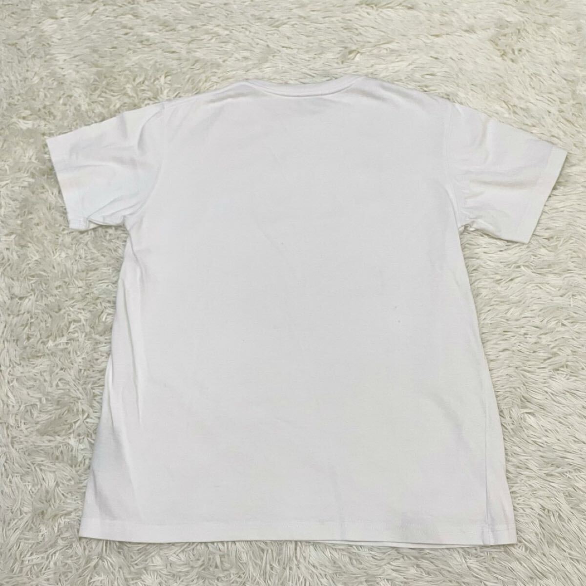 DIOR HOMME 【美品】ダニエルアーシャム ロゴプリント Tシャツ M DIOR HOMME 【美品】ダニエルアーシャム ロゴプリント Tシャツ M