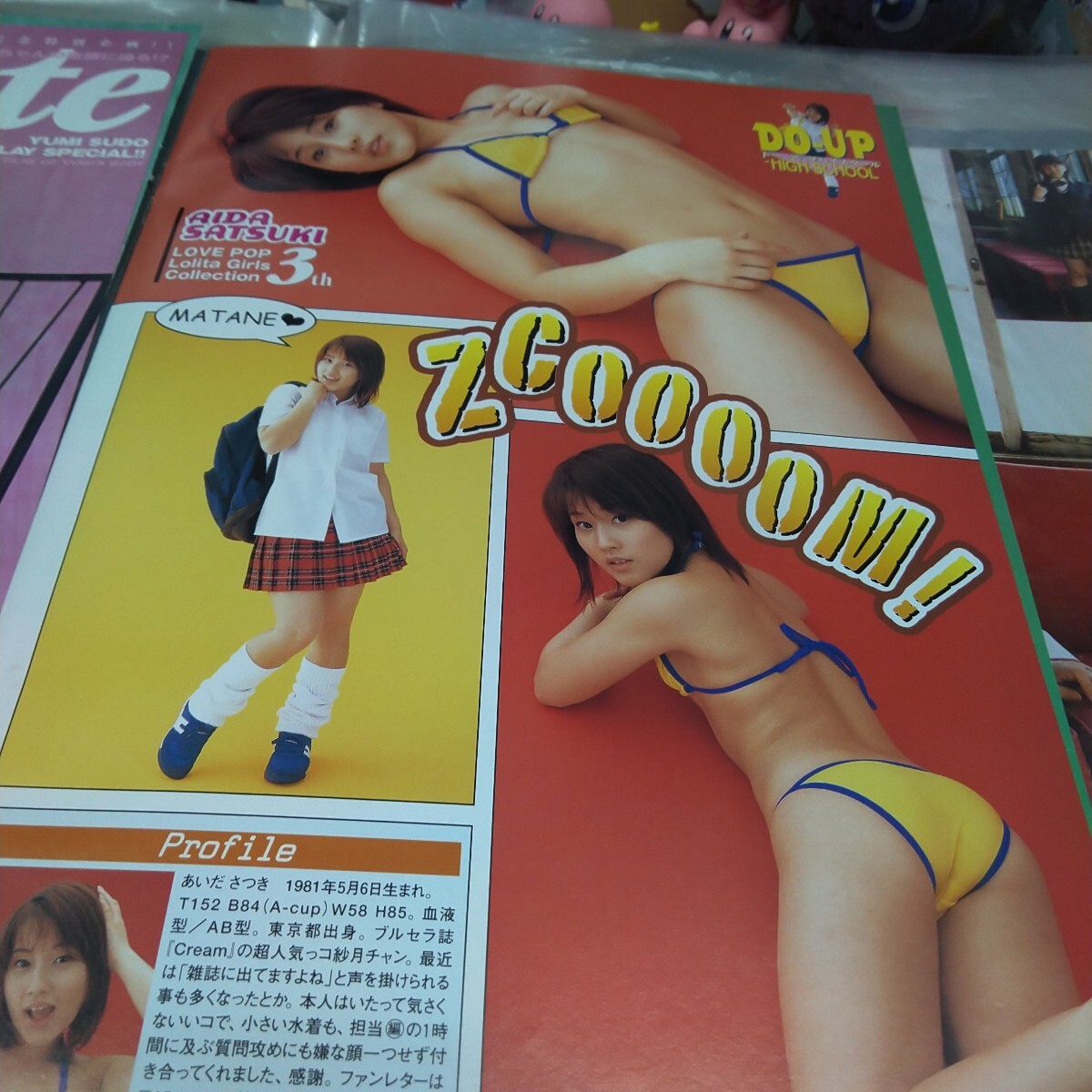 вырезки эта 39. рисовое поле . месяц 6 страница . глициния ..3 страница