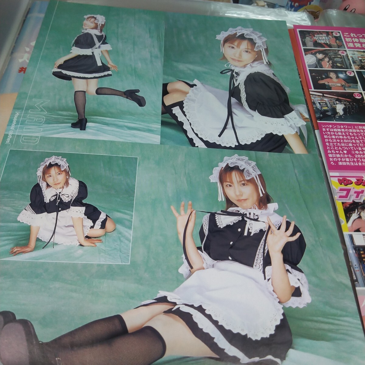 вырезки эта 39. рисовое поле . месяц 6 страница . глициния ..3 страница