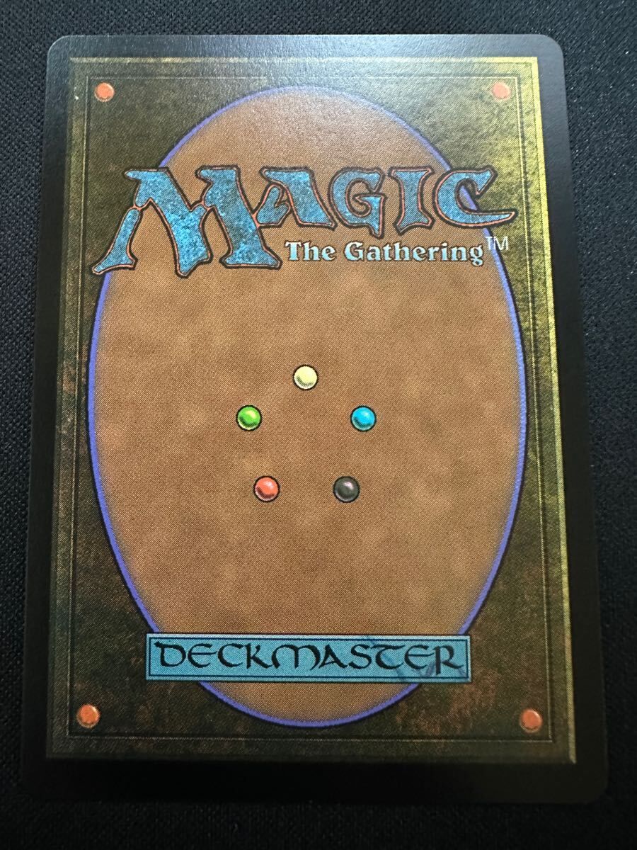 MTG ダブルレインボウfoil ファンゴルンの森 成長の揺り篭 MTG ダブルレインボウfoil ファンゴルンの森 成長の揺り篭