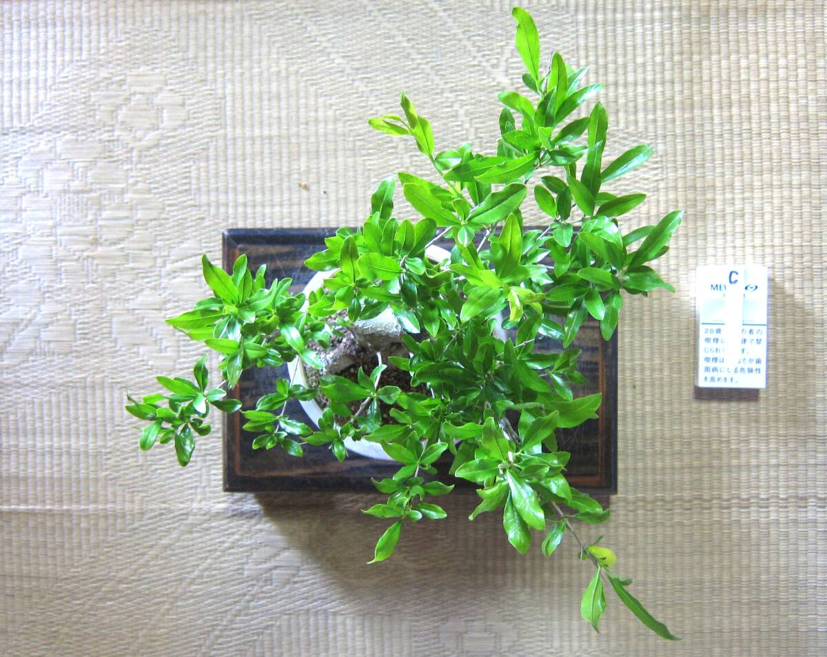 item_image_10