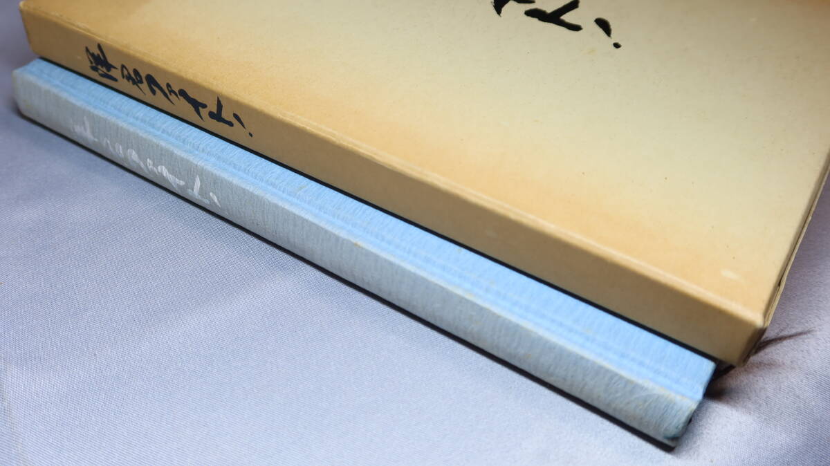 【遺稿・追悼文集】『洋君ファイト！』1987【バイクによる交通事故で逝去/東京大学消費生活協同組合駒場学生委員長/東大工学部】