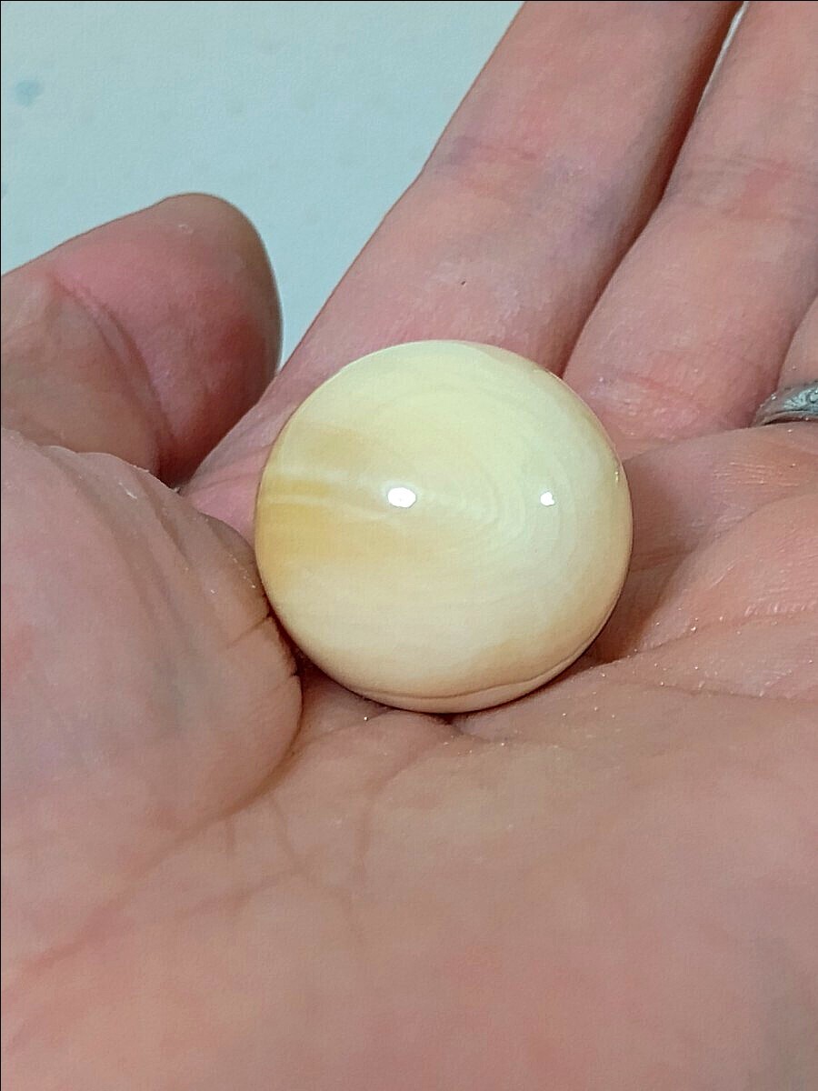 鯨歯 マッコウクジラ 牙玉 特大20㎜ 鯨歯 マッコウクジラ 牙玉 特大約20.5㎜ 特大】鯨歯 マッコウ