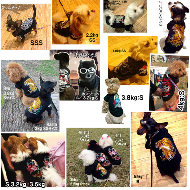 item_image_7