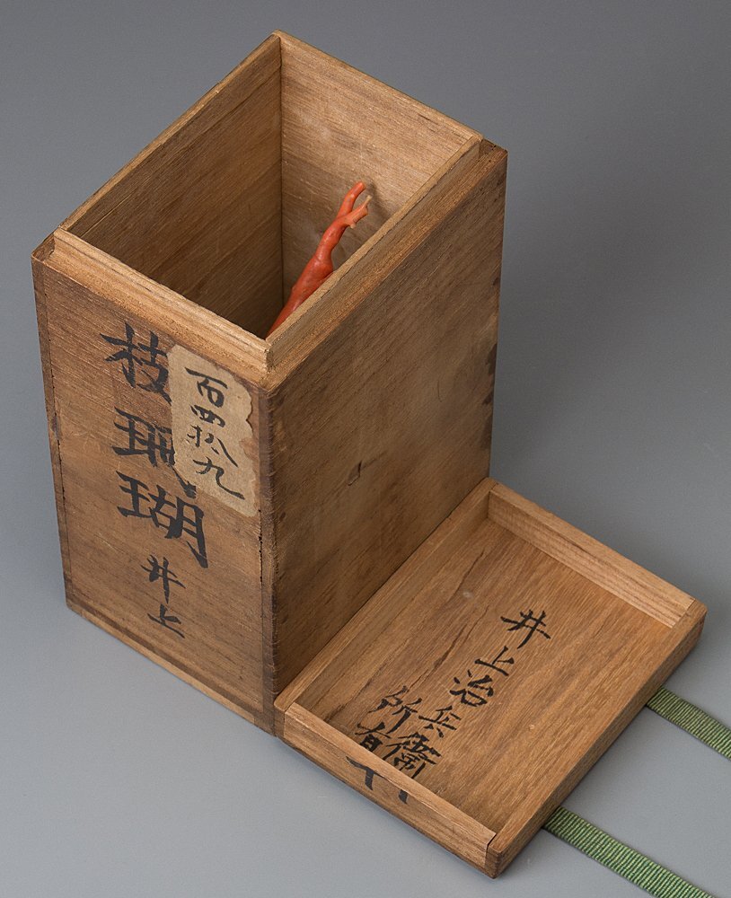 五】天然サンゴ 本珊瑚 原木 枝 玉鉢 置物 箱付(東洋彫刻)|売買 五】天然サンゴ 本珊瑚 原木 枝 玉鉢 置物 箱付(東洋彫刻)|売買