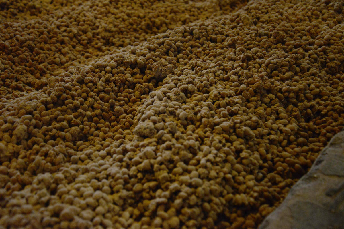 木桶熟成醤油(200ml)★無(wú)肥料?無(wú)農(nóng)薬の自然栽培小麥と大豆を使用★蔵にすみつく天然麹菌によって醸造★木桶仕込み?長(zhǎng)期醸造、最高の風(fēng)味