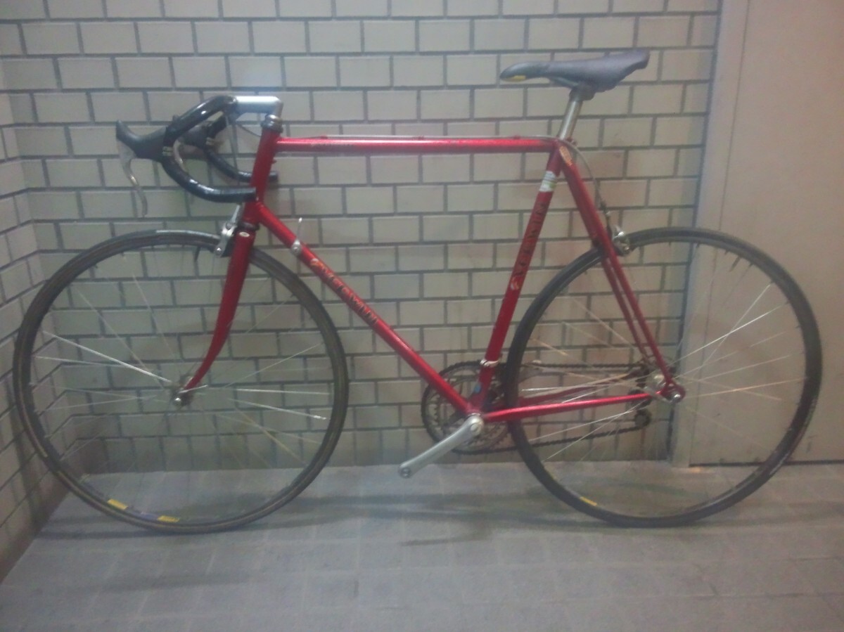 EVERWIN EXTRA COMPETITION ロードバイク MTB 自転車 EVERWIN EXTRA COMPETITION ロードバイクMTB 自転車