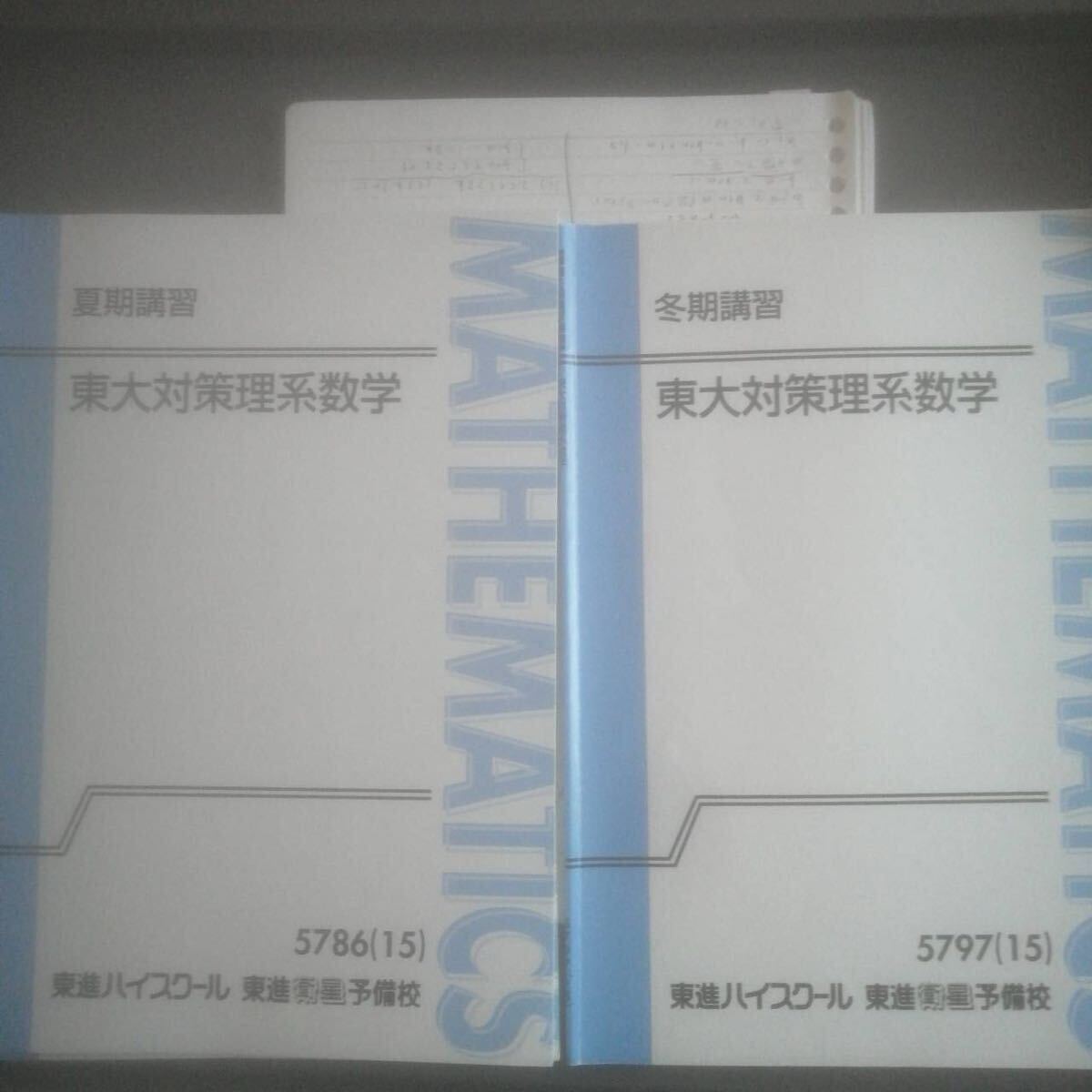 東進テキスト 東大対策理系数学 通年夏期冬期 宮嶋俊和 東進ハイ 東進テキスト 東大対策理系数学 通年夏期冬期 宮嶋俊和 東進ハイ