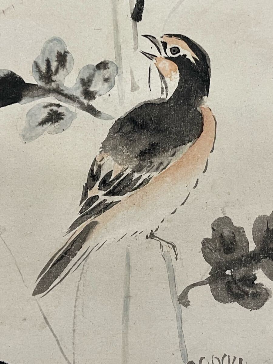 真作】 三幅対 英一蝶 花鳥図 安田靫彦極板 紙本着色 掛軸 鴛鴦 真作】 三幅対 英一蝶 花鳥図 安田靫彦極板 紙本着色 掛軸 鴛鴦