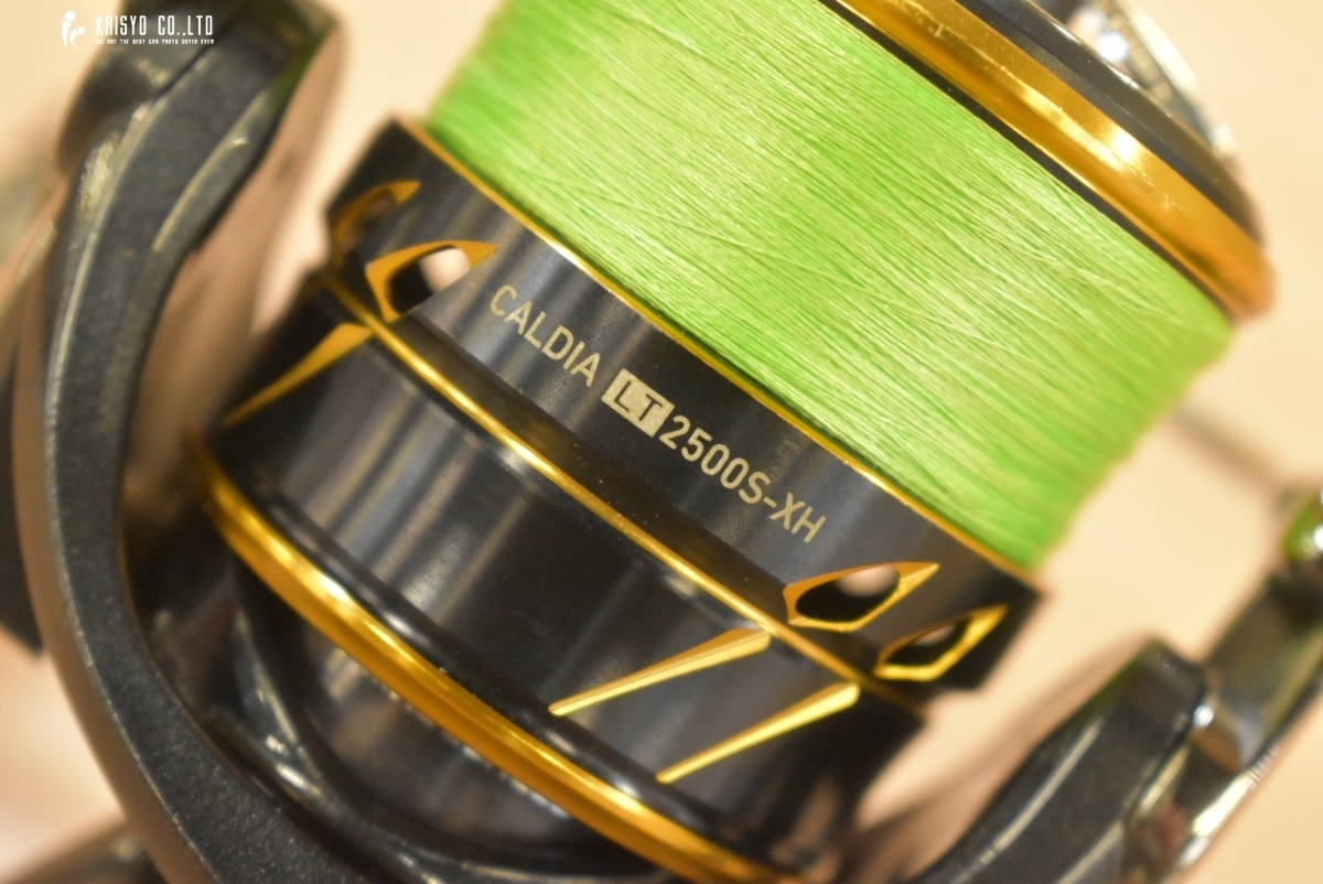 ダイワ 21 カルディア LT 2500S-XH DAIWA CALDIA スピニング ダイワ 21 カルディア LT 2500S-XH DAIWA CALDIA スピニング