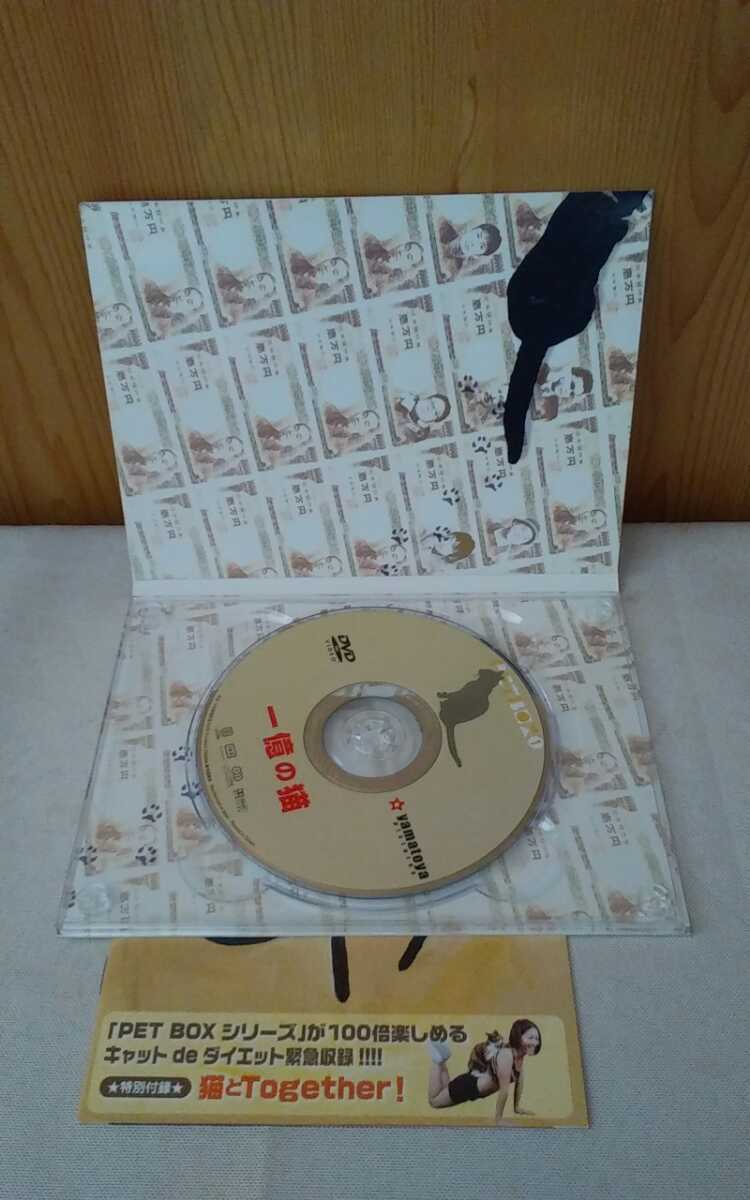 ヤフオク Dvd 一億の猫 天野ひろゆき監督 画像で判断お願 ヤフオク Dvd 一億の猫 天野ひろゆき監督 画像で判断お願