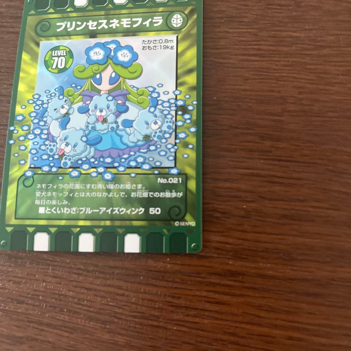 ぐるり森 プリンセスネモフィラ ひたち海浜公園ご当地カード ぐるり森 プリンセスネモフィラ ひたち海浜公園ご当地カード