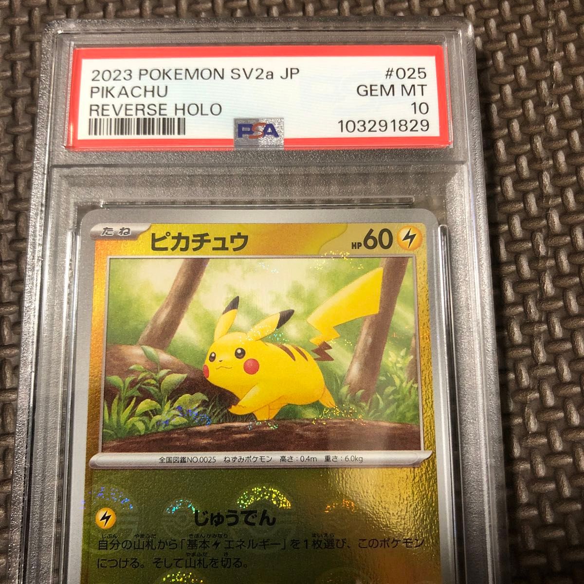 ピカチュウ モンスターボールミラー psa10 ポケモンカードゲーム ピカチュウ モンスターボールミラー psa10 ポケモンカードゲーム