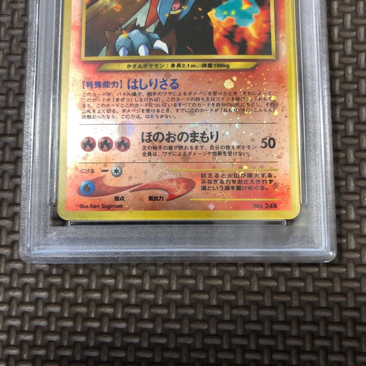 エンティ プレミアムファイル2 PSA10 旧裏 ポケモンカードゲーム エンティ プレミアムファイル2 PSA10 旧裏 ポケモンカードゲーム