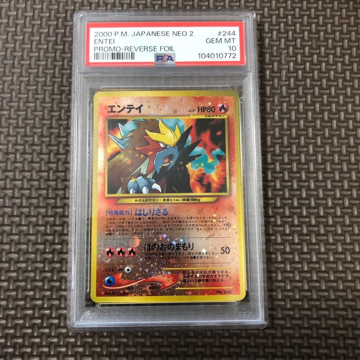 エンティ プレミアムファイル2 PSA10 旧裏 ポケモンカードゲーム エンティ プレミアムファイル2 PSA10 旧裏 ポケモンカードゲーム