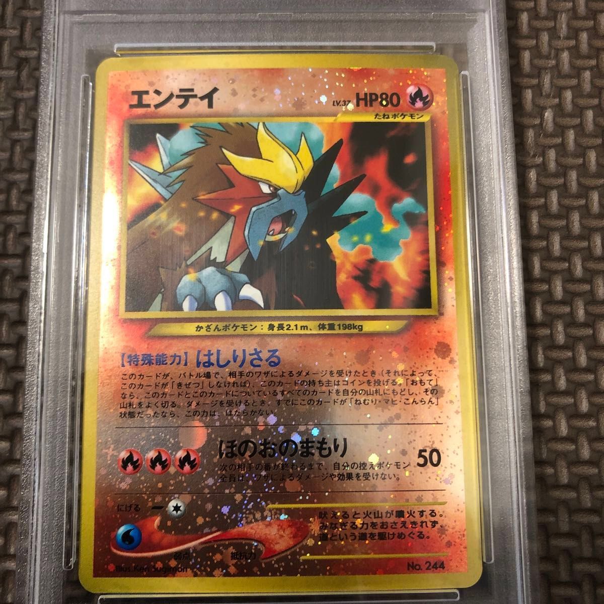 エンティ プレミアムファイル2 PSA10 旧裏 ポケモンカードゲーム エンティ プレミアムファイル2 PSA10 旧裏 ポケモンカードゲーム