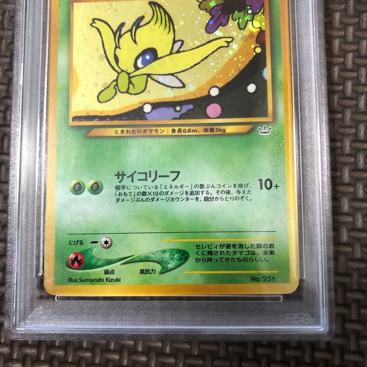 セレビィ PSA10 プレミアムファイル2 旧裏 ポケモンカードゲーム セレビィ PSA10 プレミアムファイル2 旧裏 ポケモンカードゲーム