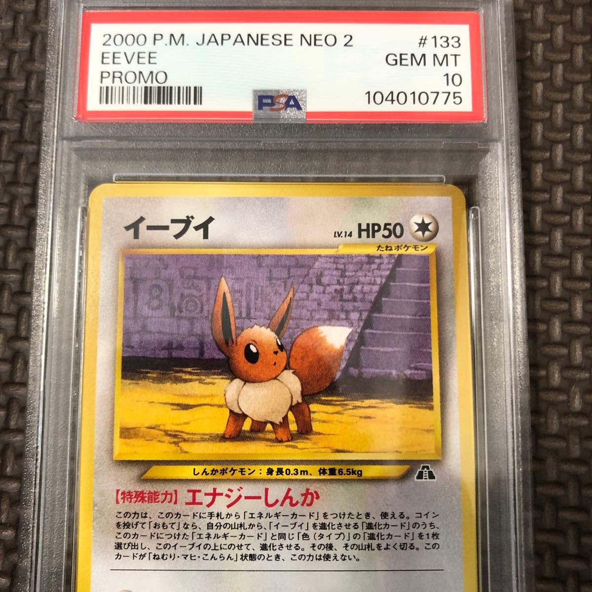 イーブイ プレミアムファイル2 PSA10 旧裏 ポケモンカードゲーム イーブイ プレミアムファイル2 PSA10 旧裏 ポケモンカードゲーム