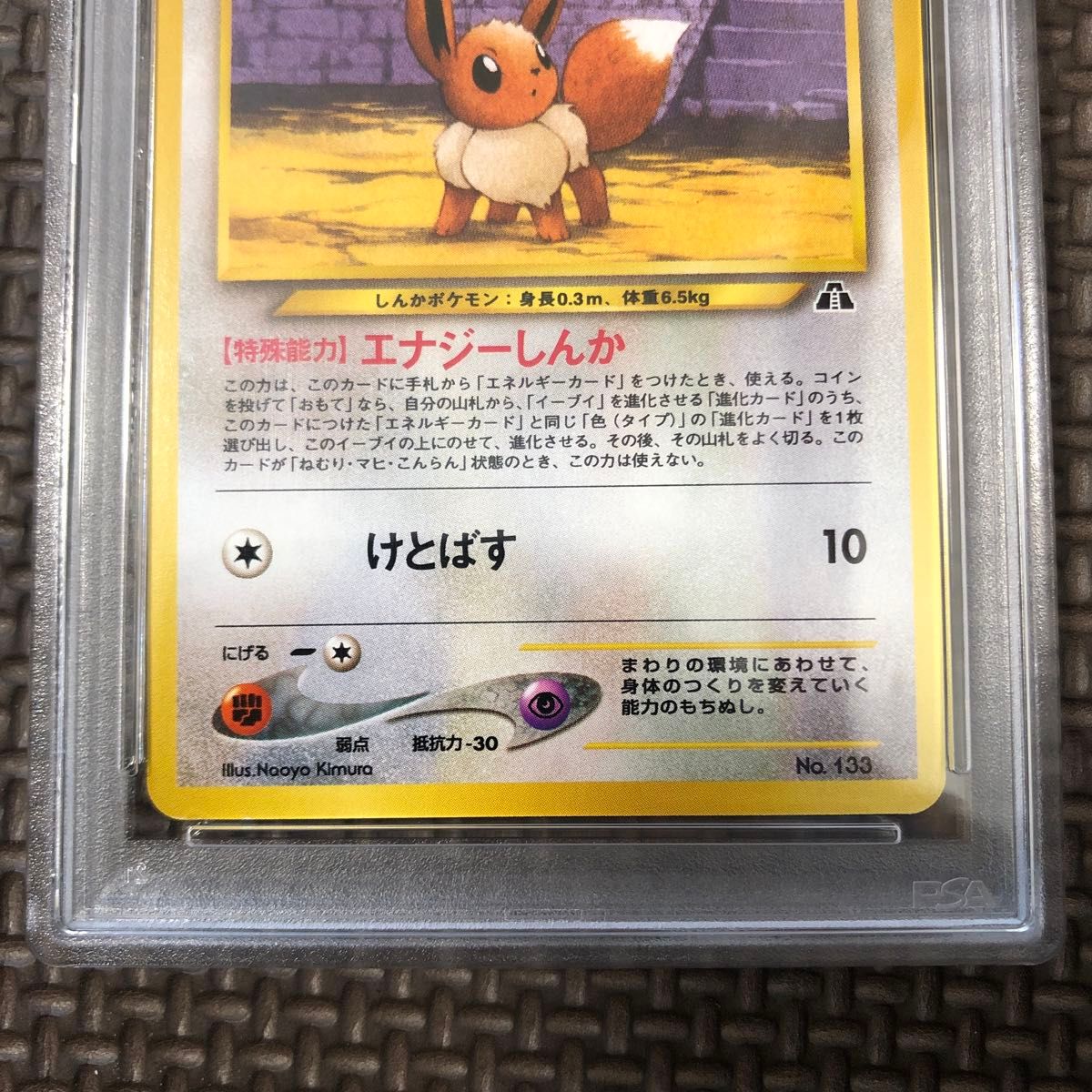 イーブイ プレミアムファイル2 PSA10 旧裏 ポケモンカードゲーム イーブイ プレミアムファイル2 PSA10 旧裏 ポケモンカードゲーム
